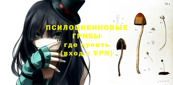 дмт Белая Холуница