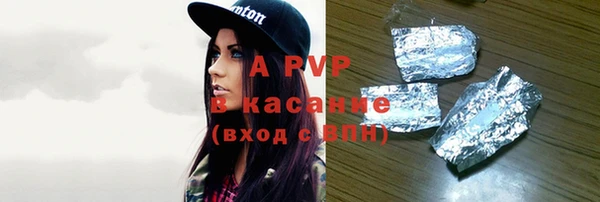 шишки Билибино