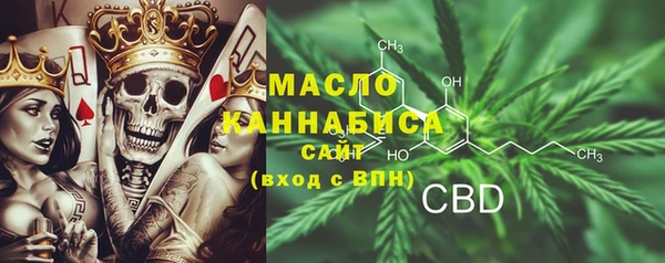 шишки Билибино