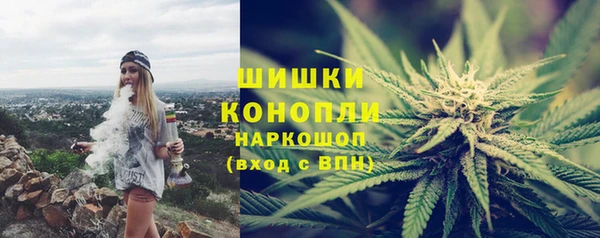 ГАЛЛЮЦИНОГЕННЫЕ ГРИБЫ Наволоки