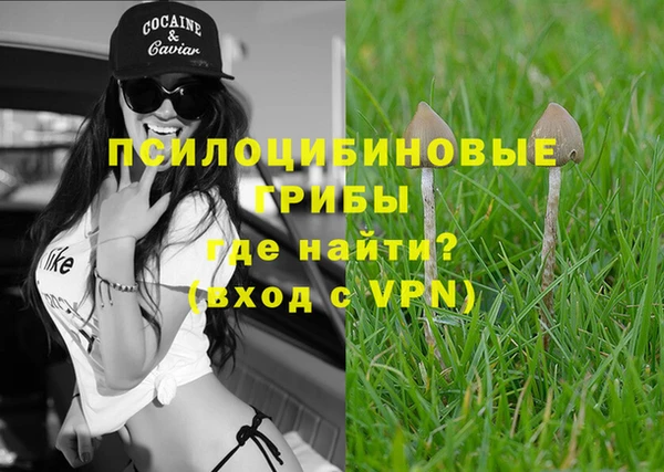 дмт Белая Холуница